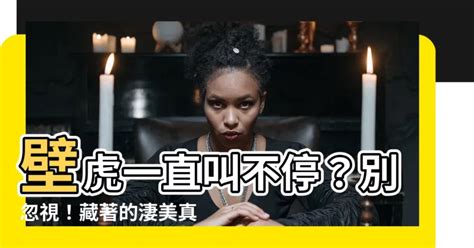 壁虎叫財 女生白虎意思